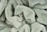 Heaven Blanket 800 Jade - ADORE RUGS and FLOORING